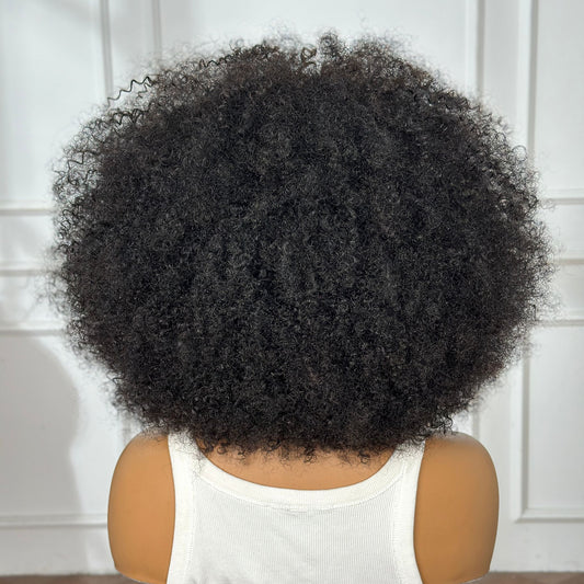 Hot Beauty Hair Luxroot Hairline 13×4 HD Frontal Exclusive Kinky Curl Wig
